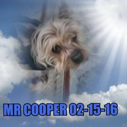 160215MrCooper