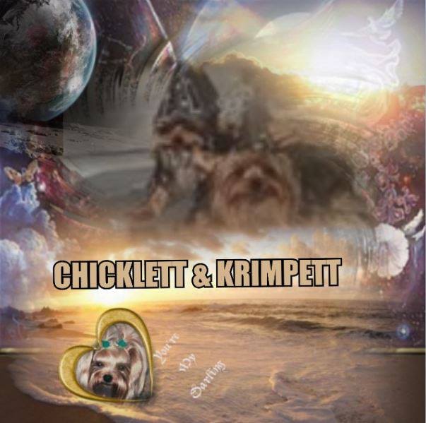 Chicklett&Krimpett