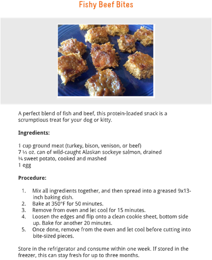 Homemade Treats by Dr. Karen Becker Yorkies United