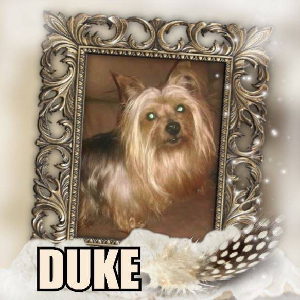 Duke